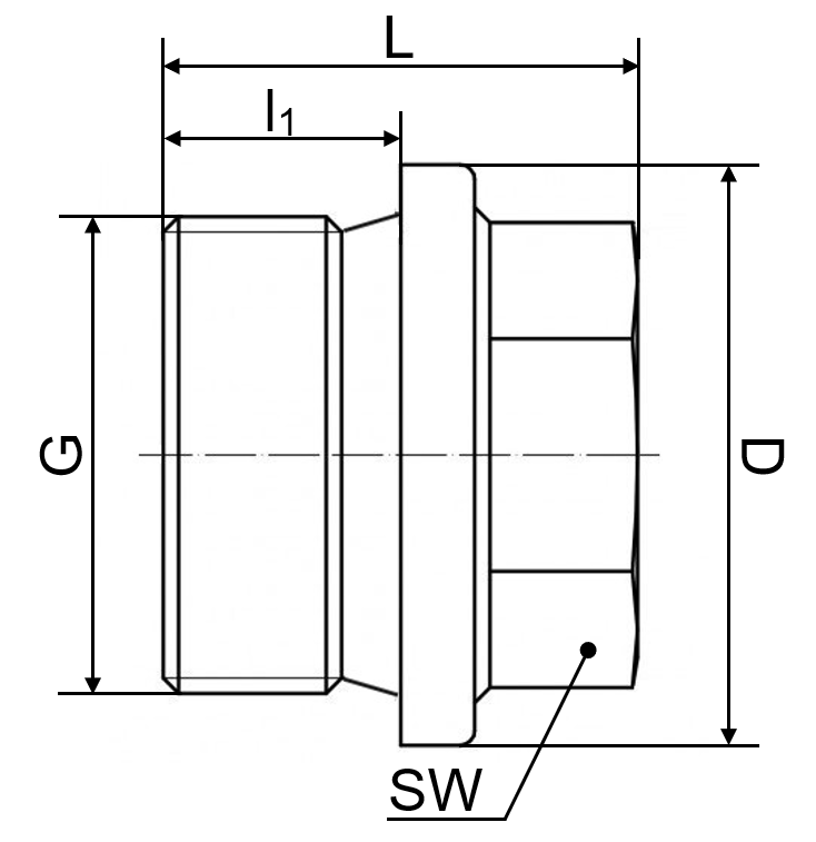 Verschlussschraube DIN 910 1.4408 2"